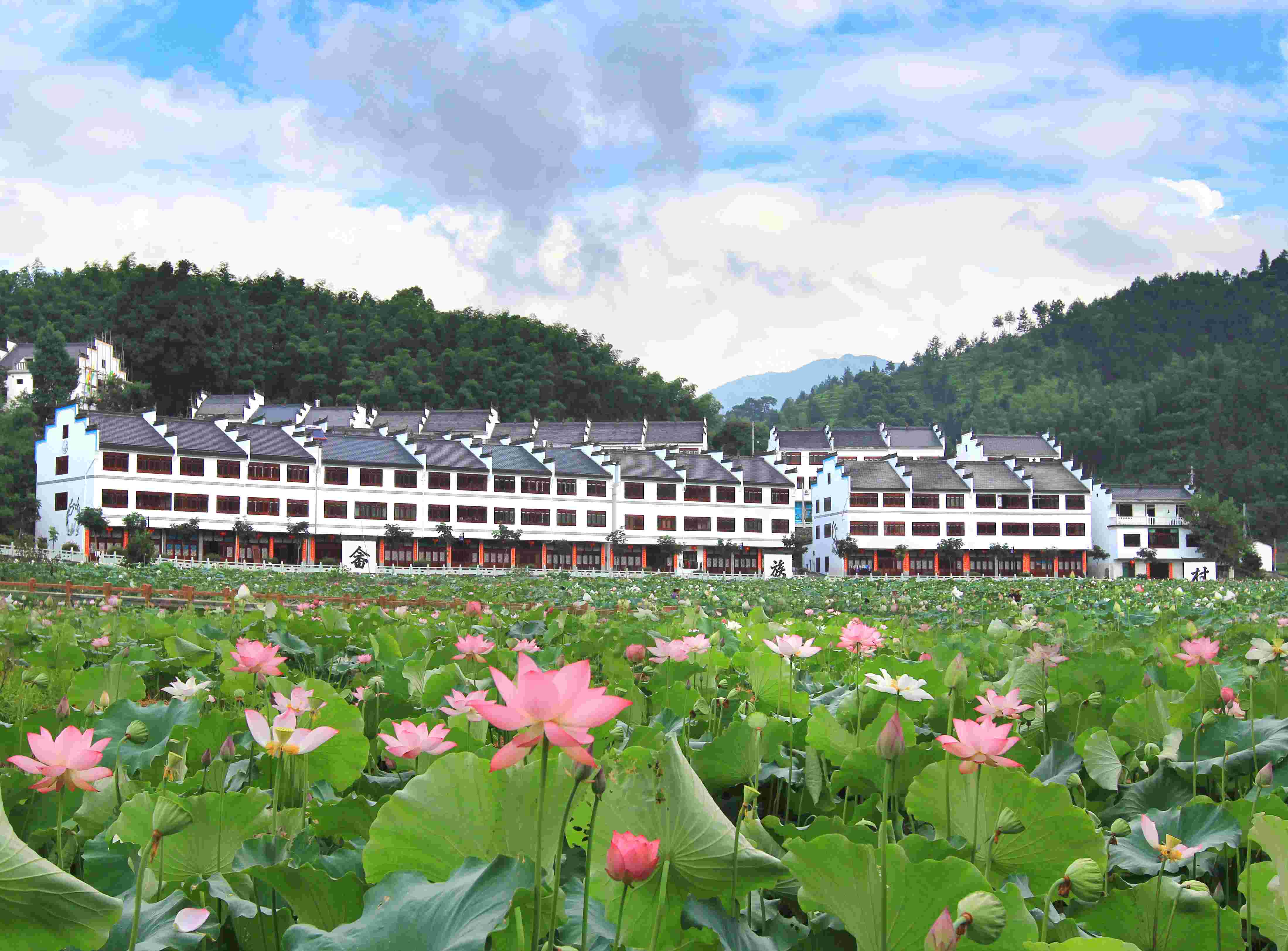 精品民宿专题67如此隐居遇见花开