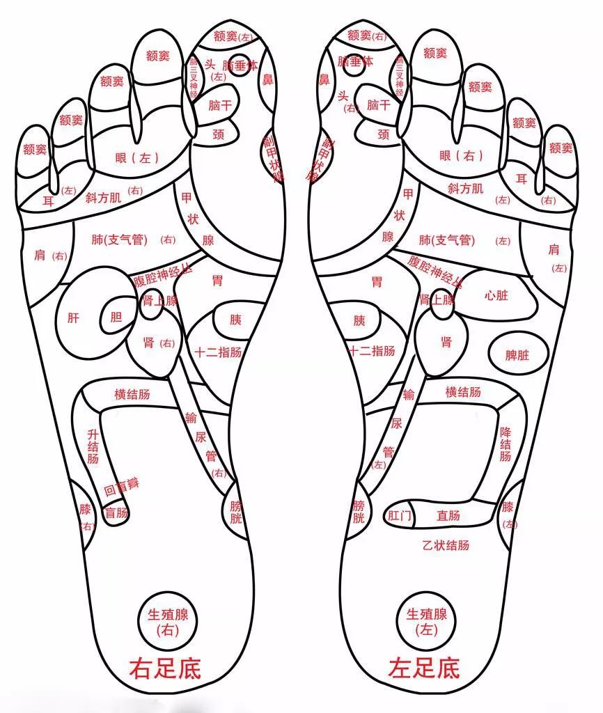 "关节痛" 冬季泡脚除了驱寒以外 还有通经活络 看了脚底对应的穴位图