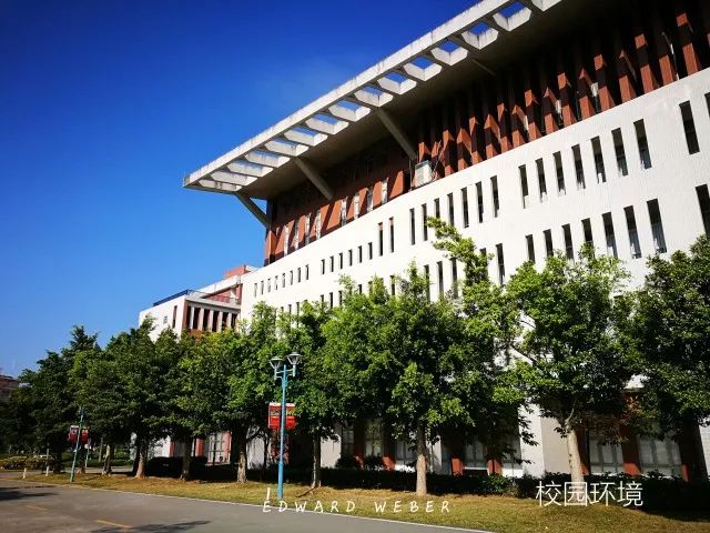 华南农业大学珠江学院2018年艺术类 专业校考招生简章