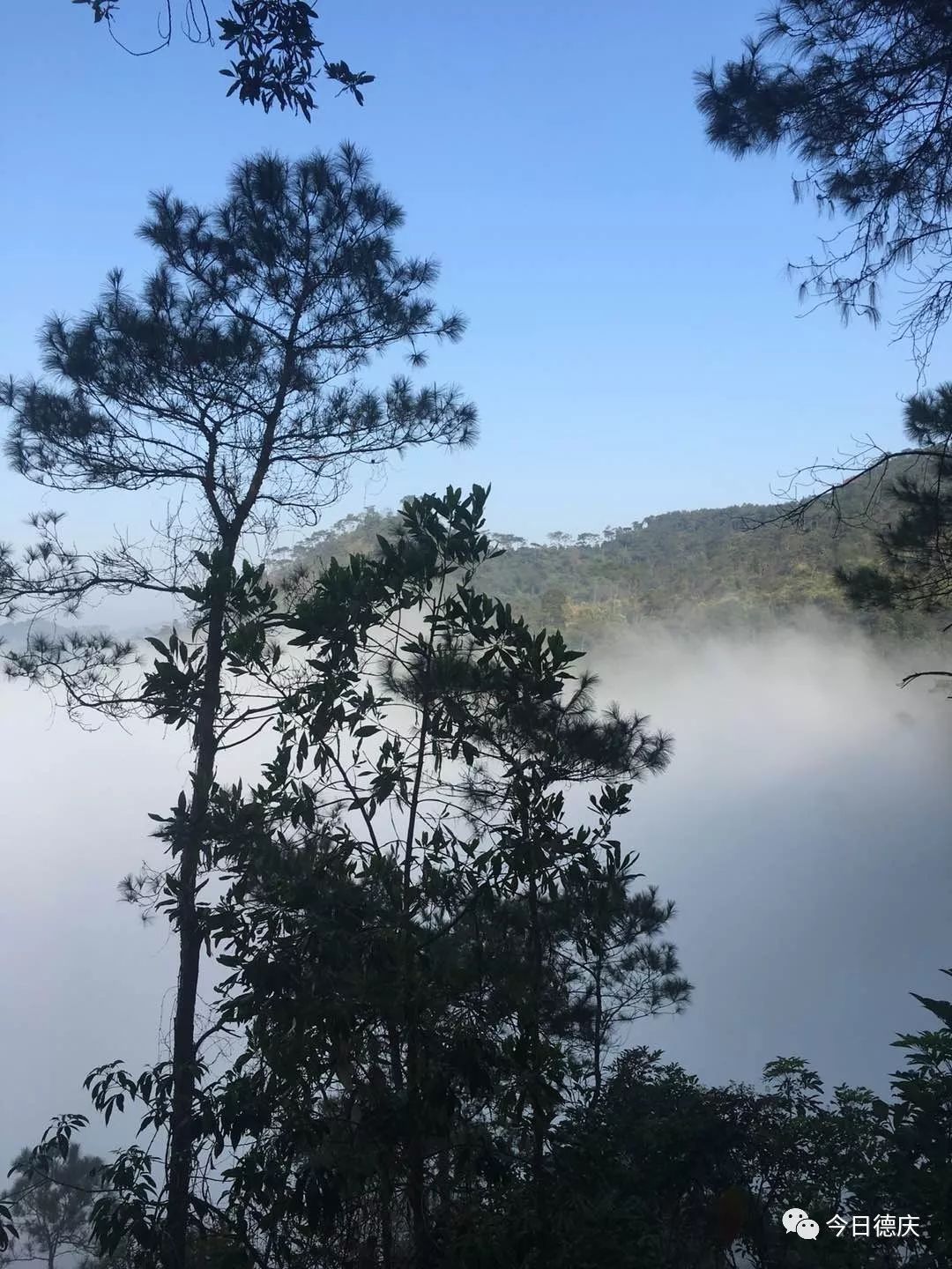 今日大雾笼罩下的德庆成了"天堂",香山现"仙境"!阴雨天气明天开启