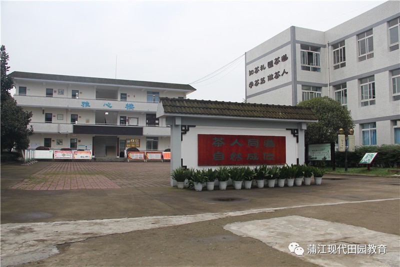 故事多自然灵动的南幼一隅樱桃满园趣味操场蒲江中学实验学校返璞归真