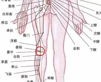 快速治腰痛和腰背部僵硬如铁板的拨筋法