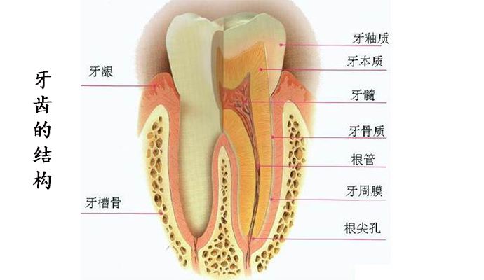 龃龋