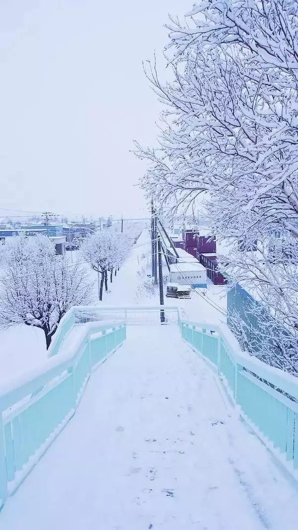 北海道的雪,满足了我对冬天的所有幻想!