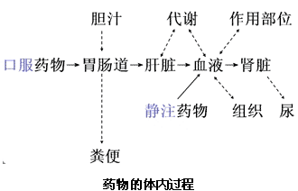 二,药物的跨膜转运