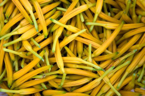 新鲜黄花菜竟然有毒，这才是黄花菜的安全吃法