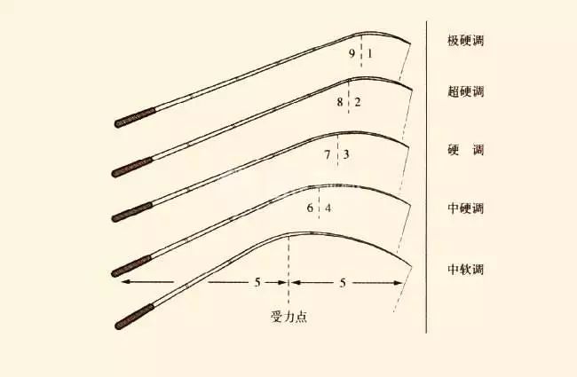 钓鱼知识:分析鱼竿调性到底哪种更好?