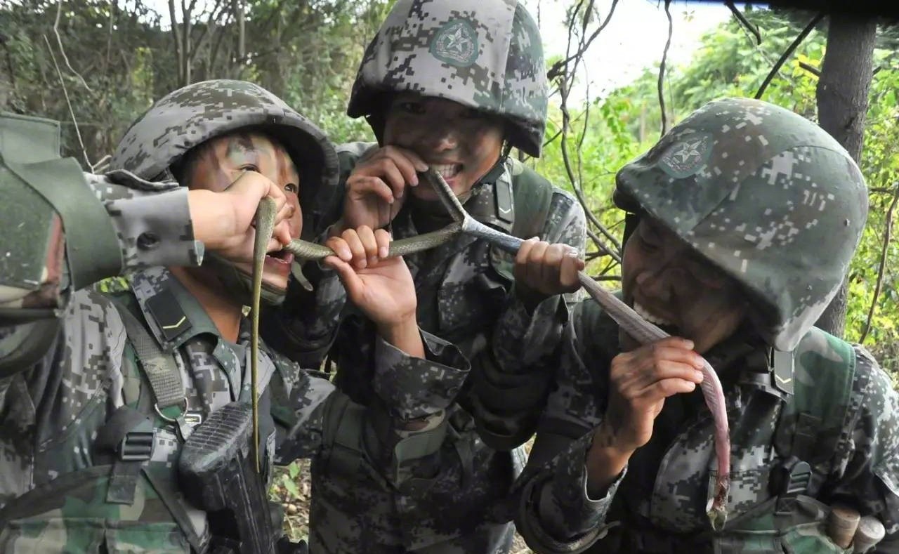 惊呆女特种兵训练大揭秘