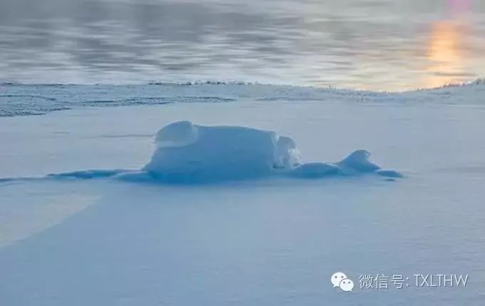 一场跨越冰雪的浪漫之旅