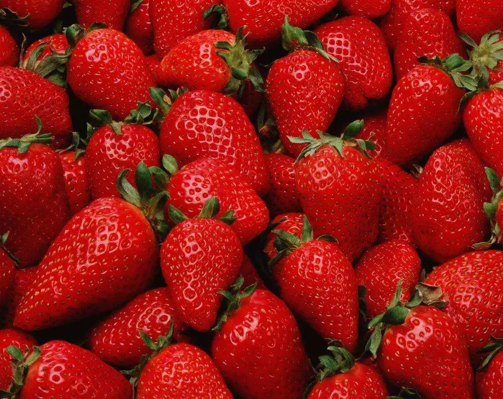 一颗富硒小草莓的成长日记-搜狐大视野-搜狐新闻