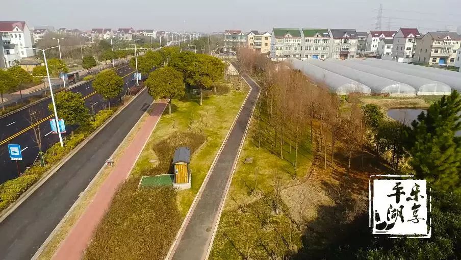 【平湖好风景】乍浦天妃路的这个绿道,好想跟你一起去走走