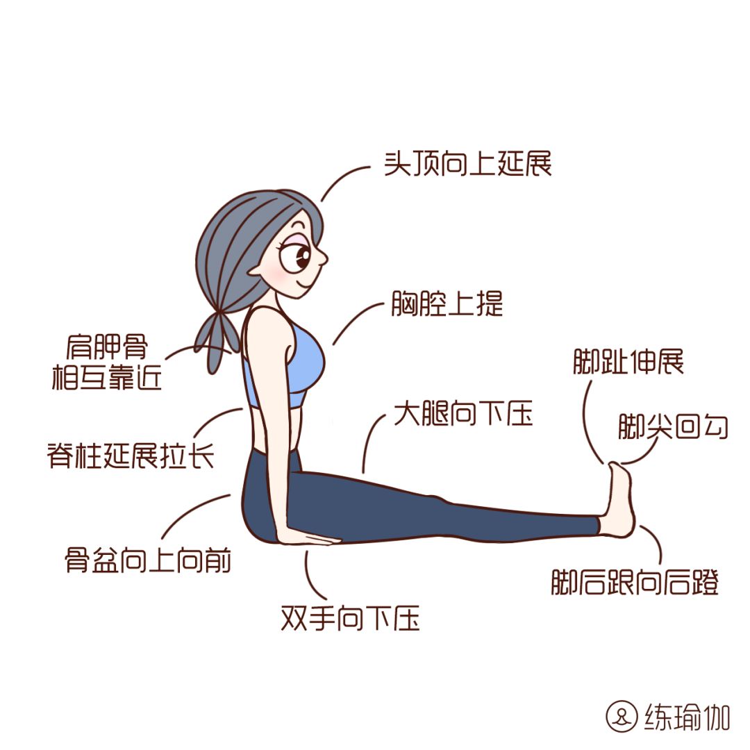体式步骤: 坐立,双腿并拢,脚尖回勾,脊柱向上立直,胸腔上提,双肩放松