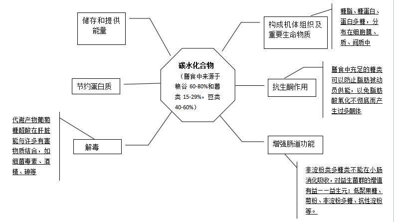 天天学营养丨营养素分析——碳水化合物(d13)