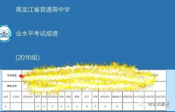 学考发成绩了,全a有点多!各等级对孩子有啥影响?