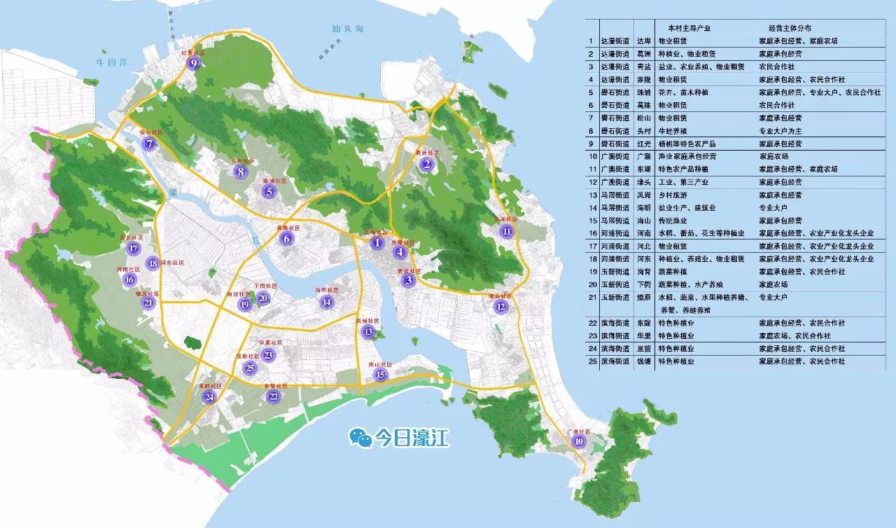 获5000万补助!濠江区被列为省扶持村级集体经济发展试点区