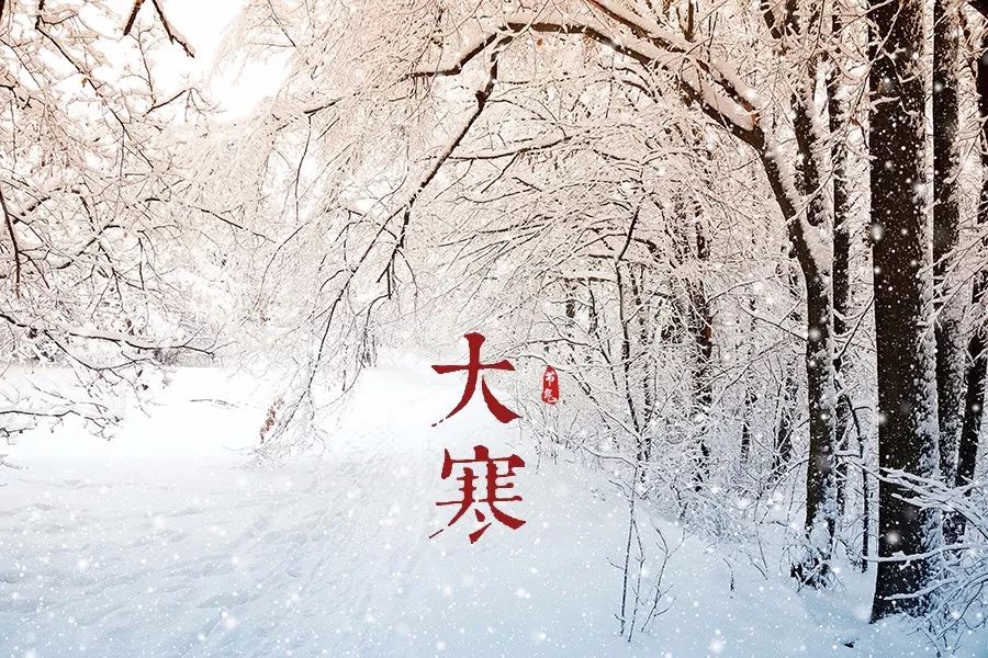 成语难什么雪(3)