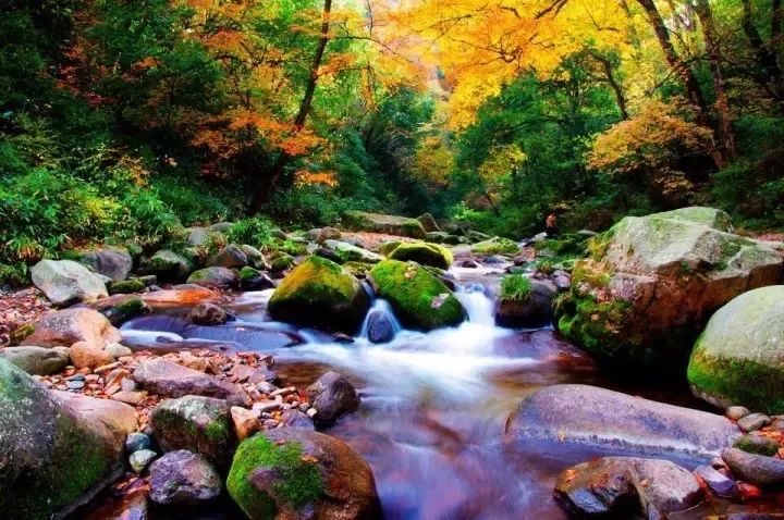 特别 的是 ↓↓↓ 该电影部分山水背景取景于 光雾山景区小巫峡,十八