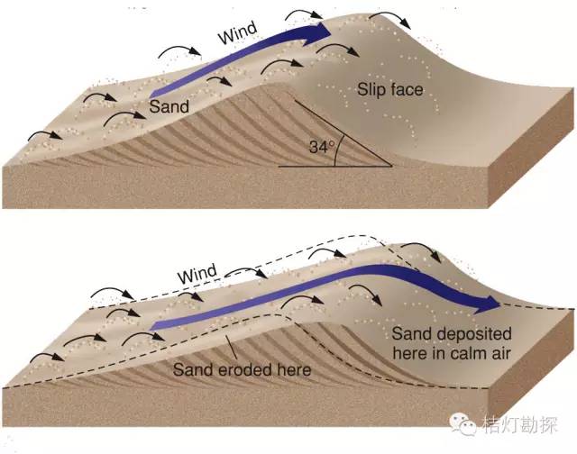 沙丘两侧不同的地质过程图解:纵向沙垄在风力的作用下,沙子不断往沙丘