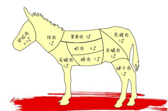 选择驴肉其中精华的十八个部位有着十几年经验的解驴师傅可用驴肉仅为