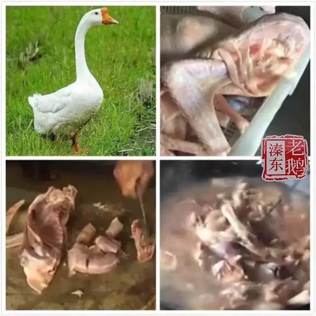 酱香浓郁肉鲜嫩味美如雁名声传溱东老鹅