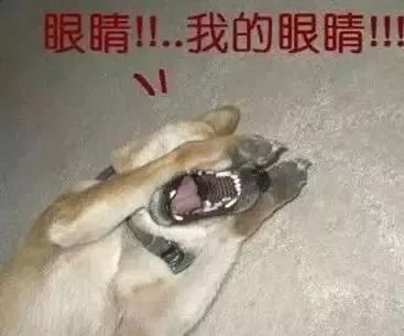 搜狐搞笑