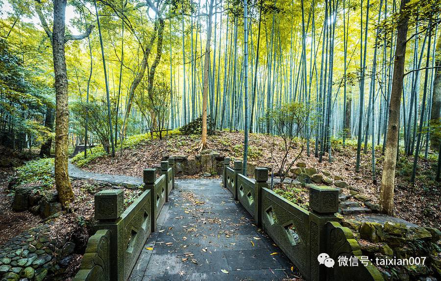 "万竹林中草缚庵,溪声隐隐隔云岚.