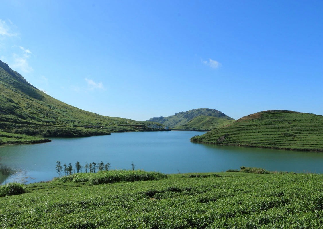 将数万根柱子一根根嵌入大地 6 大嵛山 岛 位于宁德的 大嵛山岛 是一