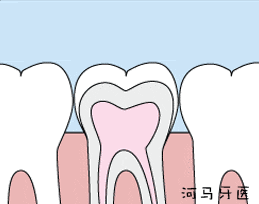 无论是乳牙,还是换牙后长出的恒牙,只要牙齿完全萌出后,建议 尽快做窝