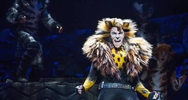 文化 正文  还有 "摇滚猫"the rumtum tugger :猫群中的花花公子,唱歌