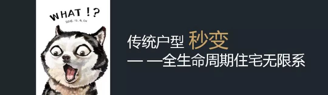 也就是全生命周期无限系的升级版本.