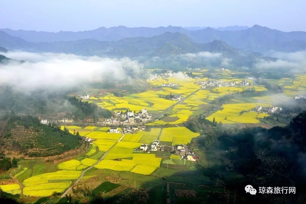 后柯村人口