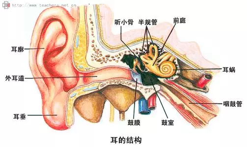 导致细菌容易由咽鼓管进入中耳鼓室,引起急性化脓性中耳炎,严重则会使