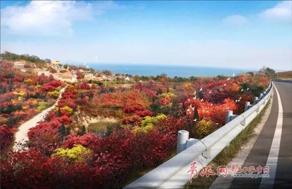 近日,在即墨鳌山,温泉街道的主要山体区域,在围绕深潜基地周边等地,以