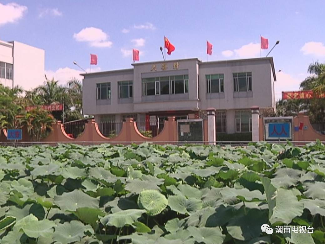 省报看汕头 | 潮南“跨村联建”促乡村抱团振兴_房产资讯_房天下