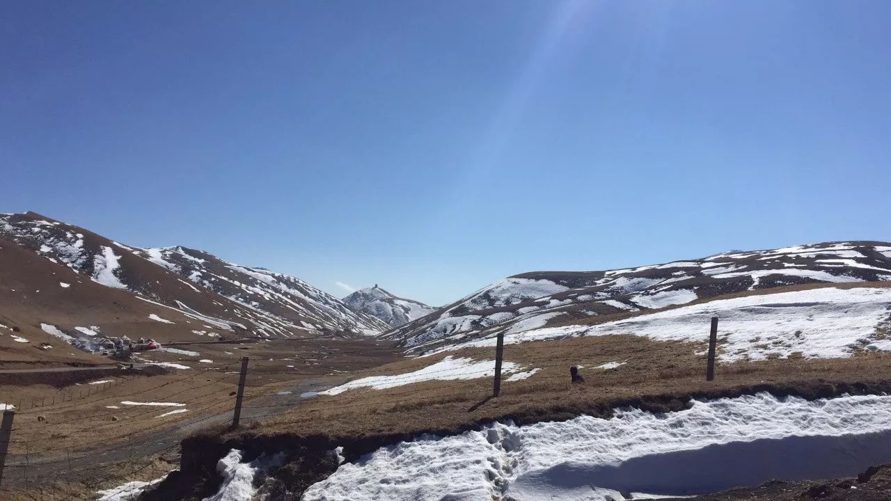 大海草山雪要化完了!再过一周,又下雪!