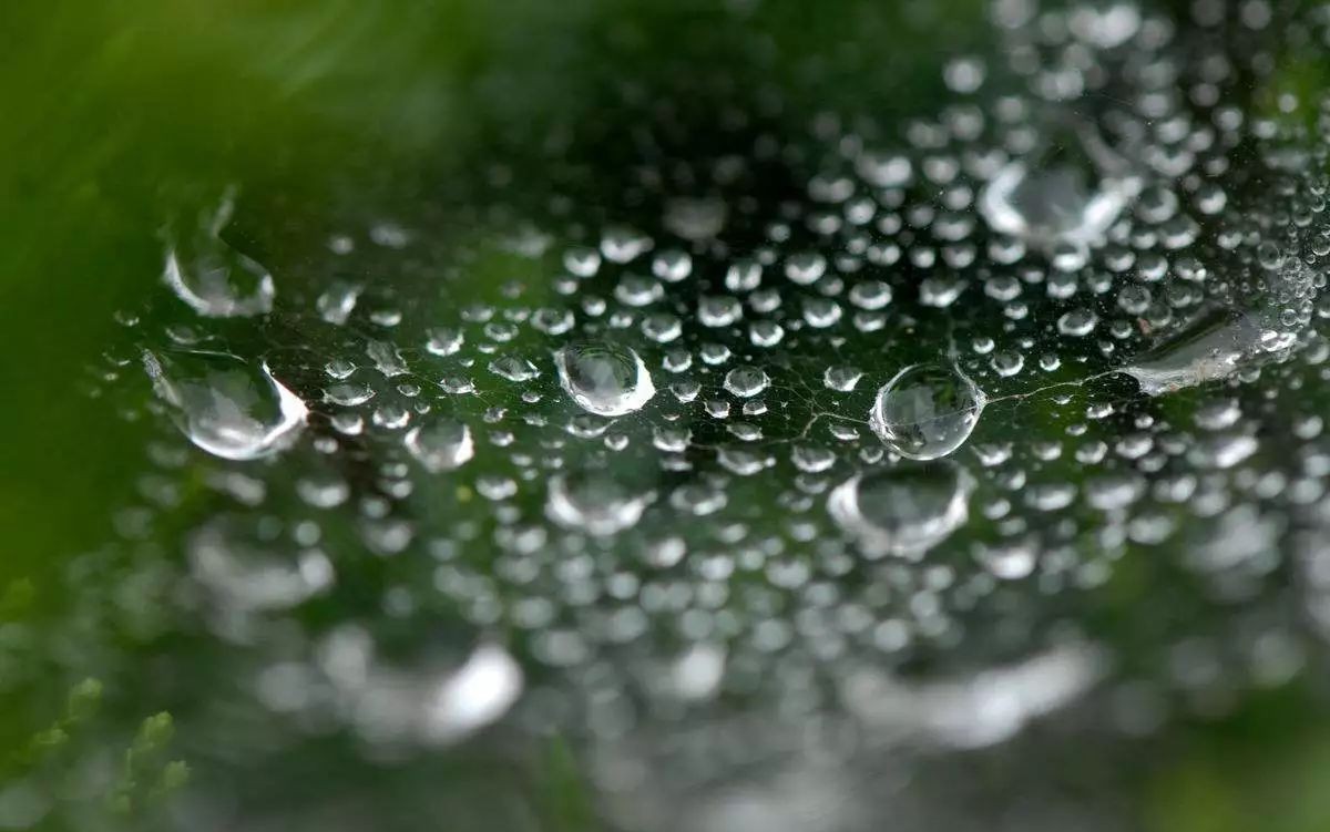 今天最高9,阴雨绵绵!上海一天早知道