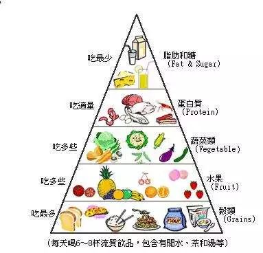 (健康饮食金字塔)