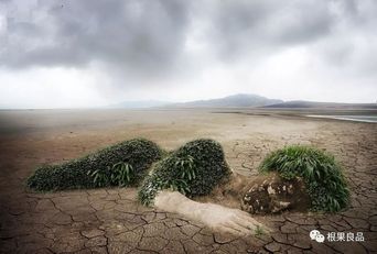 是的,长期以来的掠夺式种植,让土地生病了!