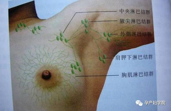 疏通腋下淋巴手法图片