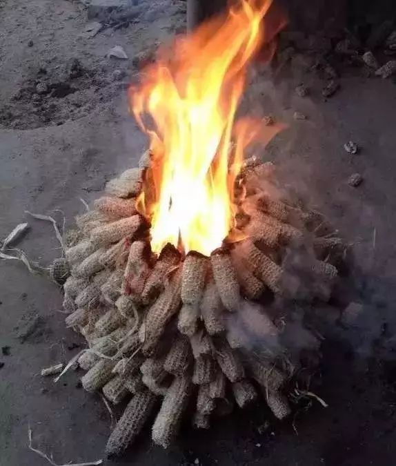 我的老家在德保农村!我们村的人冬天都爱干这个.