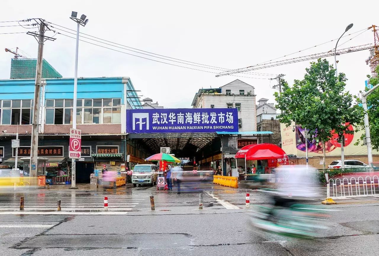 十个有八个应该都会说华南海鲜批发市场,它是武汉最大的海鲜批发