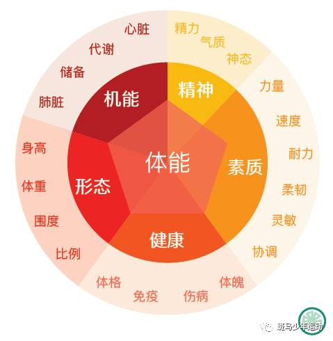 体育人口的标准_2015年体育人口分析报告(2)