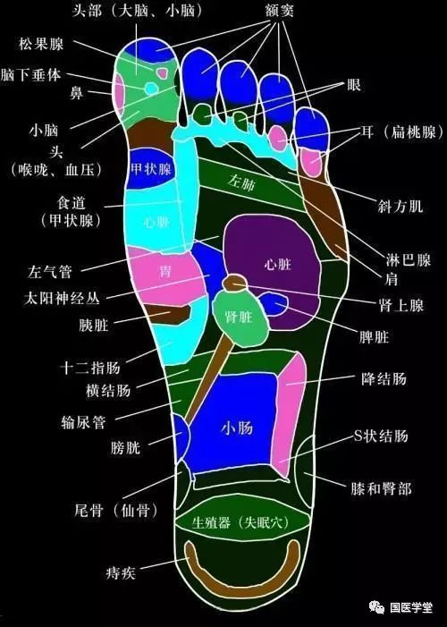 爆!养生从脚开始:脚底穴位图按摩