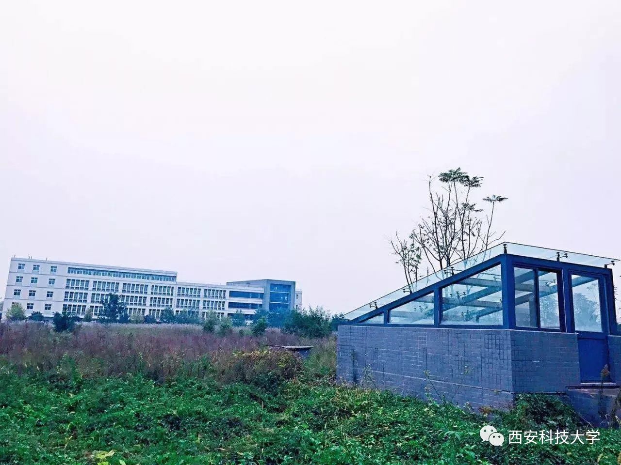 关于西安科技大学校区命名的通知含新增校区