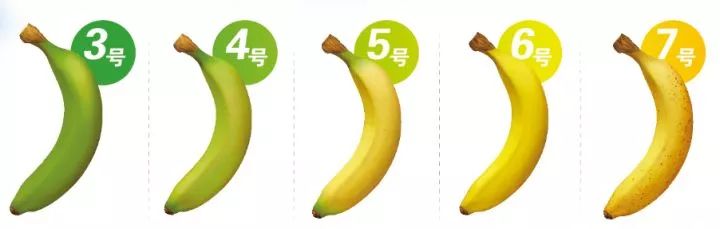 成熟度 选多成熟的香蕉取决于你想买了之后多久吃 3号:未熟,发涩