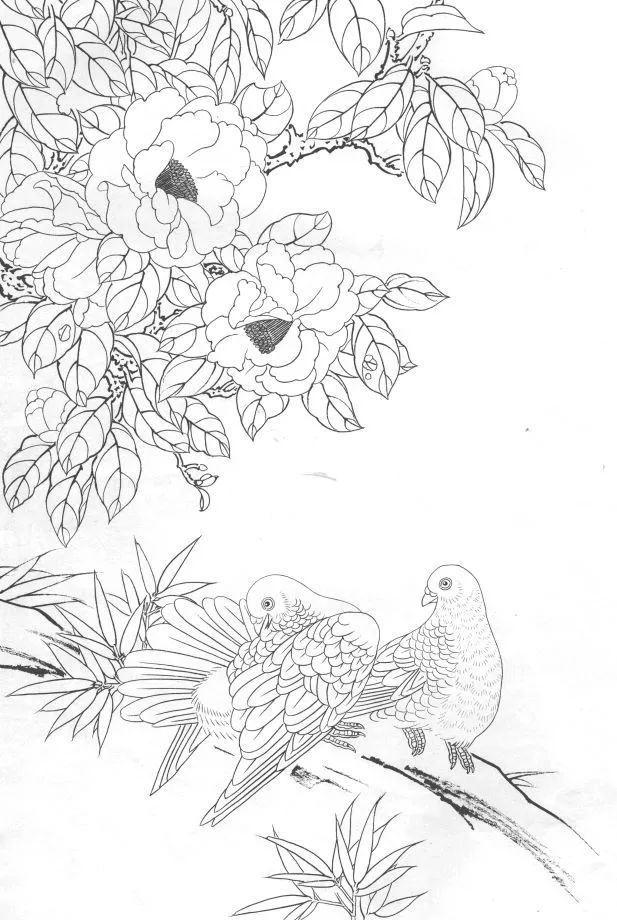 花卉珍禽白描画稿