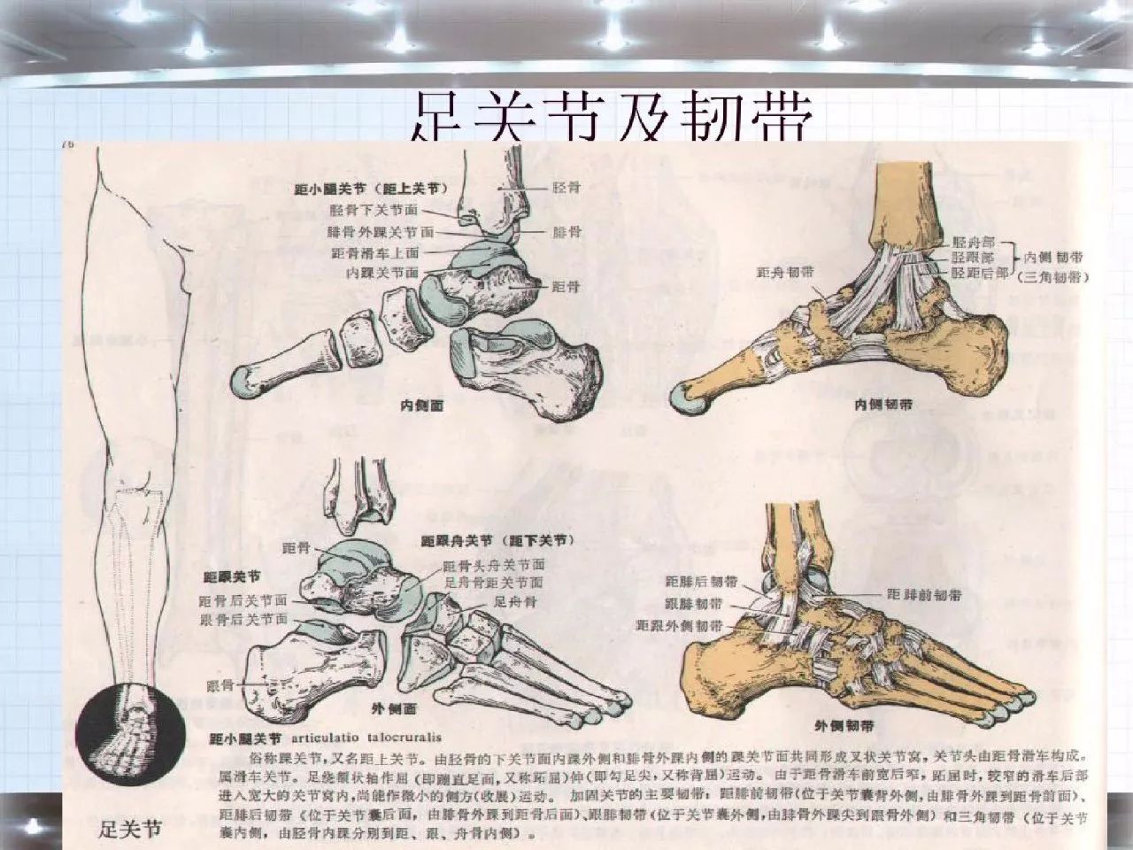 踝骨骨折护理查房