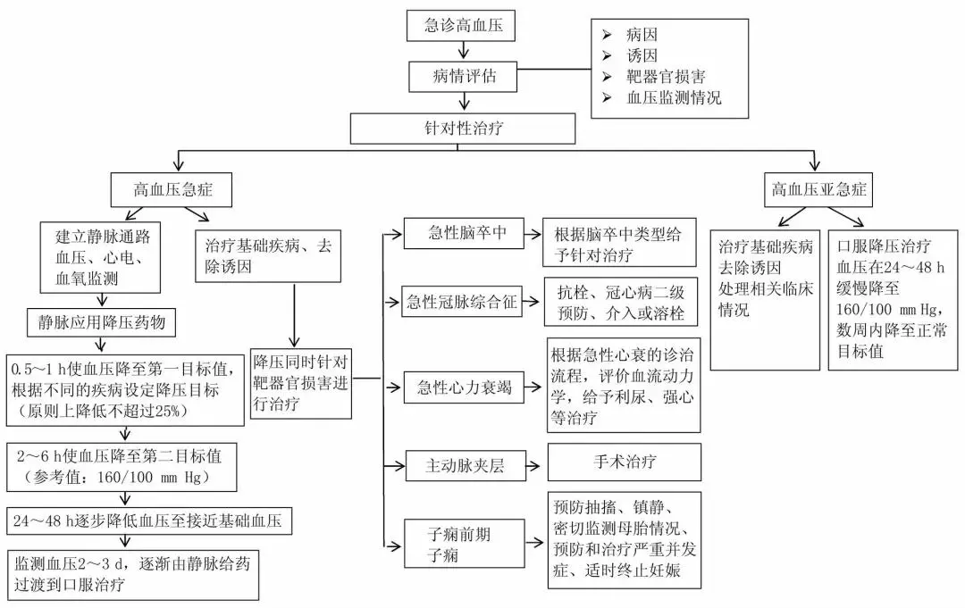 实验室检查对患者进行评估,查找引起患者血压急性升高的临床情况和诱