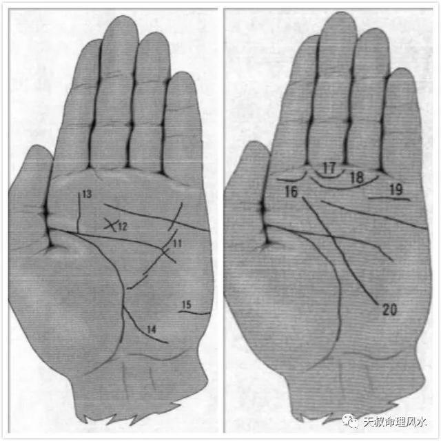 手相图解基础知识,让你快速了解手掌中的奥妙(干货