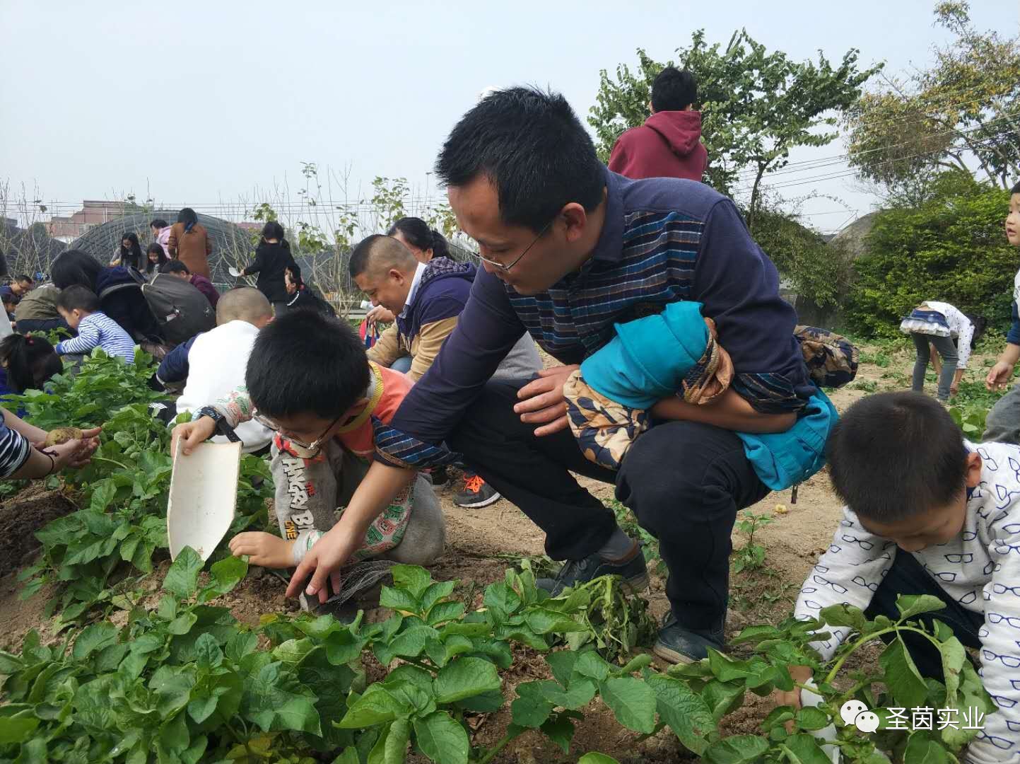 活动回顾|体验农耕乐,共享亲子情,他们玩得不亦乐乎